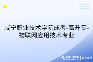咸寧職業(yè)技術(shù)學(xué)院成考-高升專-物聯(lián)網(wǎng)應(yīng)用技術(shù)專業(yè)