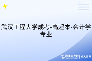 武漢工程大學(xué)成考-高起本-會計學(xué)專業(yè)