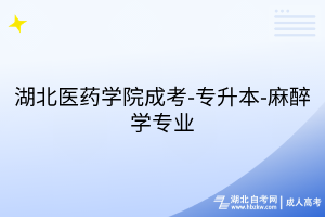 湖北醫(yī)藥學(xué)院成考-專升本-麻醉學(xué)專業(yè)
