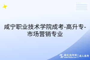 咸寧職業(yè)技術(shù)學(xué)院成考-高升專-市場(chǎng)營(yíng)銷專業(yè)
