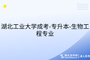 湖北工業(yè)大學(xué)成考-專升本-生物工程專業(yè)