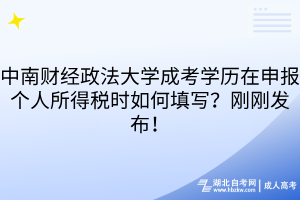 中南財(cái)經(jīng)政法大學(xué)成考學(xué)歷在申報(bào)個(gè)人所得稅時(shí)如何填寫？剛剛發(fā)布！