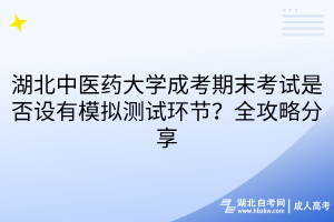 湖北中醫(yī)藥大學成考期末考試是否設有模擬測試環(huán)節(jié)？全攻略分享