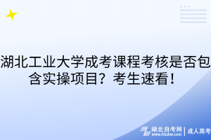 湖北工業(yè)大學成考課程考核是否包含實操項目？考生速看！