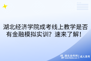 湖北經(jīng)濟學(xué)院成考線上教學(xué)是否有金融模擬實訓(xùn)？速來了解！