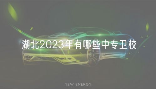 湖北2023年有哪些中專衛(wèi)校 湖北2023年有哪些中專衛(wèi)校