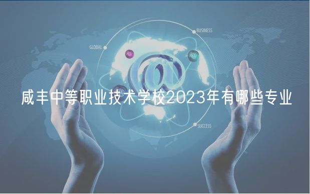 咸豐中等職業(yè)技術(shù)學(xué)校2023年有哪些專業(yè)