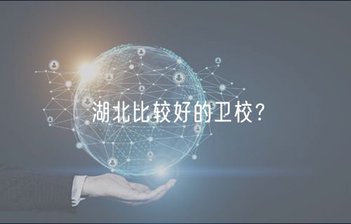 湖北比較好的衛(wèi)校? 湖北比較好的衛(wèi)校?