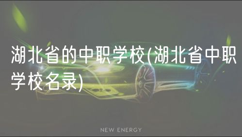湖北省的中職學校(湖北省中職學校名錄) 湖北省的中職學校(湖北省中職學校名錄)