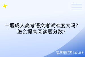 十堰成人高考語文考試難度大嗎？怎么提高閱讀題分?jǐn)?shù)？
