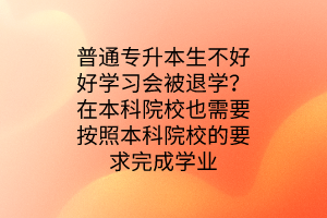 普通專(zhuān)升本生不好好學(xué)習(xí)會(huì)被退學(xué)？在本科院校也需要按照本科院校的要求完成學(xué)業(yè)