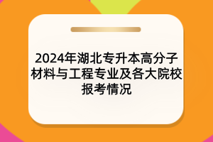 2024年湖北專升本高分子材料與工程專業(yè)及各大院校報(bào)考情況