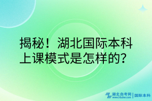 揭秘！湖北國際本科的上課模式是怎樣的？