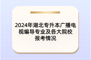 2024年湖北專升本廣播電視編導(dǎo)專業(yè)及各大院校報(bào)考情況