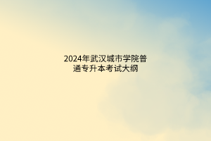 2024年武漢城市學(xué)院普通專升本考試大綱