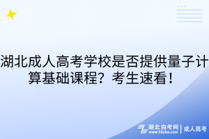 湖北成人高考學校是否提供量子計算基礎課程？考生速看！