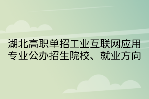 湖北高職單招工業(yè)互聯(lián)網(wǎng)應(yīng)用專業(yè)公辦招生院校、就業(yè)方向