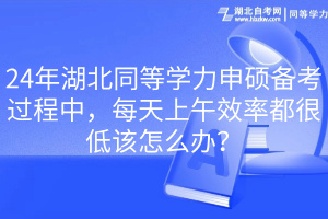 24年湖北同等學(xué)力申碩備考過程中，每天上午效率都很低該怎么辦？