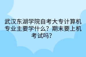武漢東湖學(xué)院自考大專計算機專業(yè)主要學(xué)什么？期末要上機考試嗎？