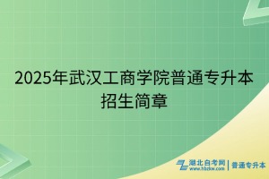 2025年武漢工商學(xué)院普通專升本招生簡(jiǎn)章