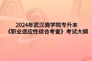2024年武漢商學院專升本《職業(yè)適應性綜合考查》考試大綱