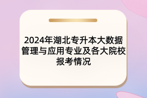 2024年湖北專升本大數(shù)據(jù)管理與應(yīng)用專業(yè)及各大院校報(bào)考情況