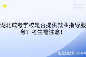 湖北成考學(xué)校是否提供就業(yè)指導(dǎo)服務(wù)？考生需注意！