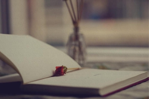 華中科技大學(xué)2018年學(xué)士學(xué)位英語考試成績查詢