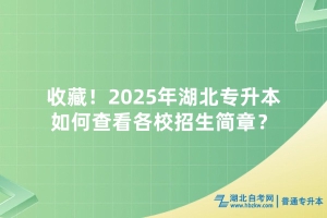 收藏！2025年湖北專升本如何查看各校招生簡章？
