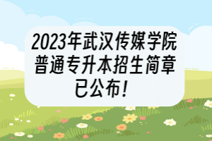 2023年武漢傳媒學院普通專升本招生簡章已公布！