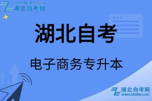 湖北自考電子商務(wù)專升本專業(yè)考試科目_課程學(xué)分設(shè)置_教材目錄一覽表