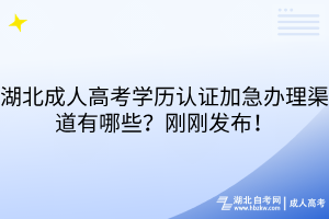 湖北成人高考學(xué)歷認證加急辦理渠道有哪些？剛剛發(fā)布！