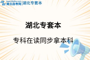 湖北專套本完全指南：時(shí)間規(guī)劃/專業(yè)選擇/避坑要點(diǎn)