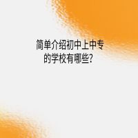 簡單介紹初中上中專的學(xué)校？