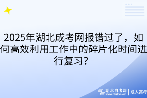 2025年湖北成考網(wǎng)報錯過了，如何高效利用工作中的碎片化時間進行復習？