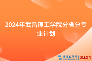 2024年武昌理工學(xué)院分省分專業(yè)計(jì)劃