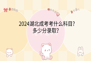 2024湖北成考考什么科目?多少分錄取？