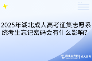 2025年湖北成人高考征集志愿系統(tǒng)考生忘記密碼會有什么影響？
