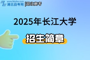 2025年長江大學(xué)藝術(shù)類專業(yè)招生簡章
