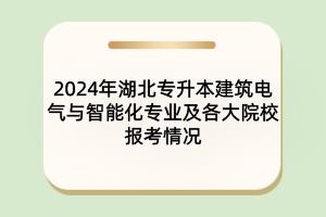 2024年湖北專升本建筑電氣與智能化專業(yè)及各大院校報(bào)考情況