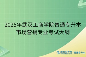 2025年武漢工商學(xué)院普通專升本市場(chǎng)營(yíng)銷專業(yè)考試大綱