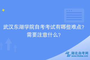 武漢東湖學院自考考試有哪些難點？需要注意什么？