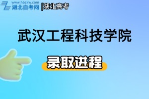 2025年武漢工程科技學院招生錄取進程及查詢方式  
