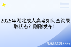 2025年湖北成人高考如何查詢錄取狀態(tài)？剛剛發(fā)布！