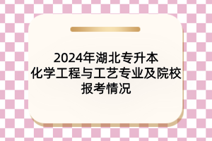2024年湖北專升本化學(xué)工程與工藝專業(yè)及院校報(bào)考情況