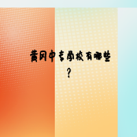 黃岡中專(zhuān)學(xué)校有哪些？