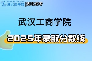 2025年武漢工商學(xué)院專業(yè)錄取分?jǐn)?shù)線——美術(shù)類
