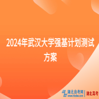 2024年武漢大學(xué)強(qiáng)基計劃測試方案