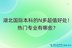 湖北國際本科的N多超值好處！熱門專業(yè)有哪些？