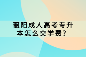 襄陽成人高考專升本怎么交學費？